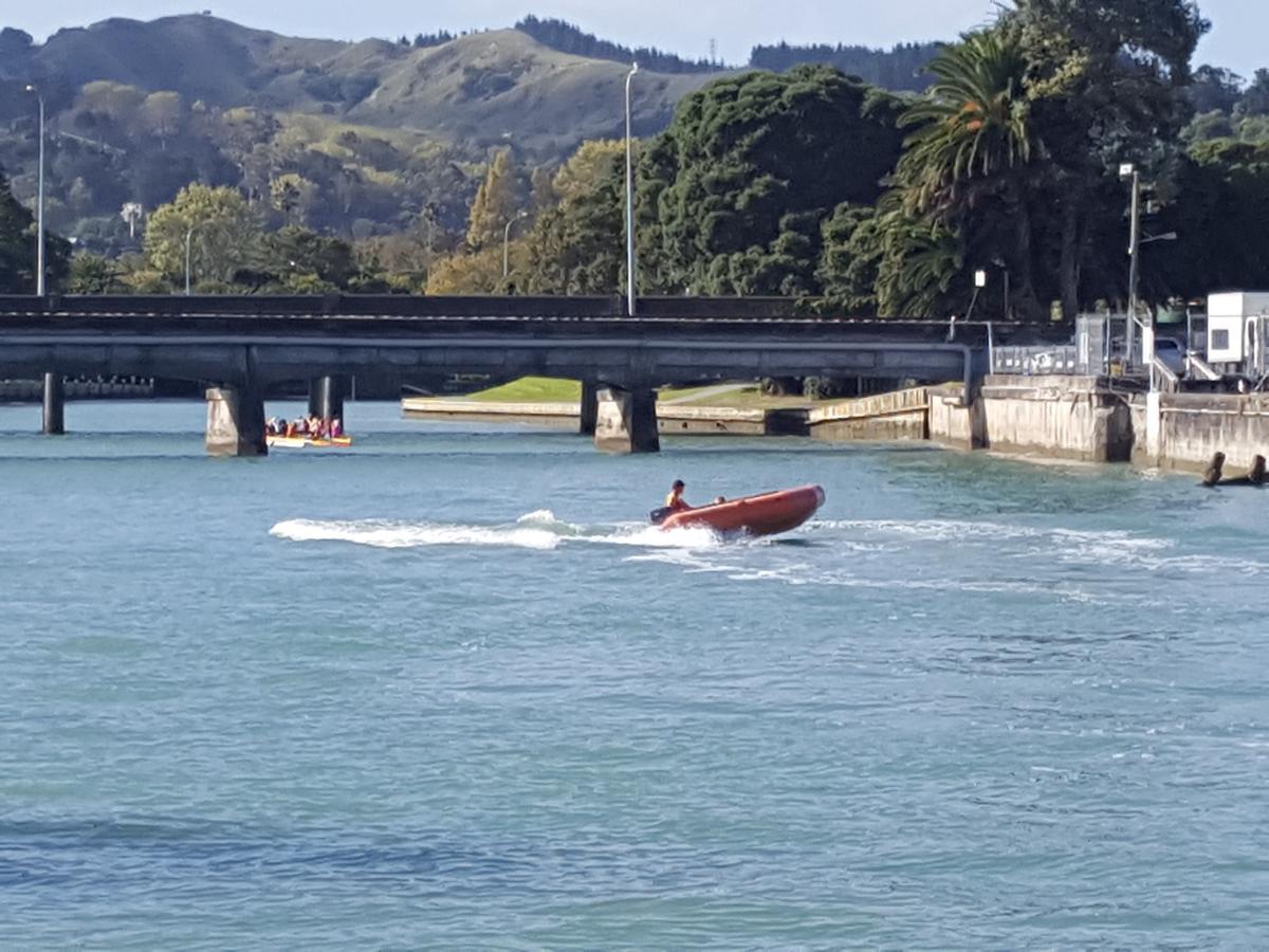 Marina View Apartments Gisborne Exteriér fotografie