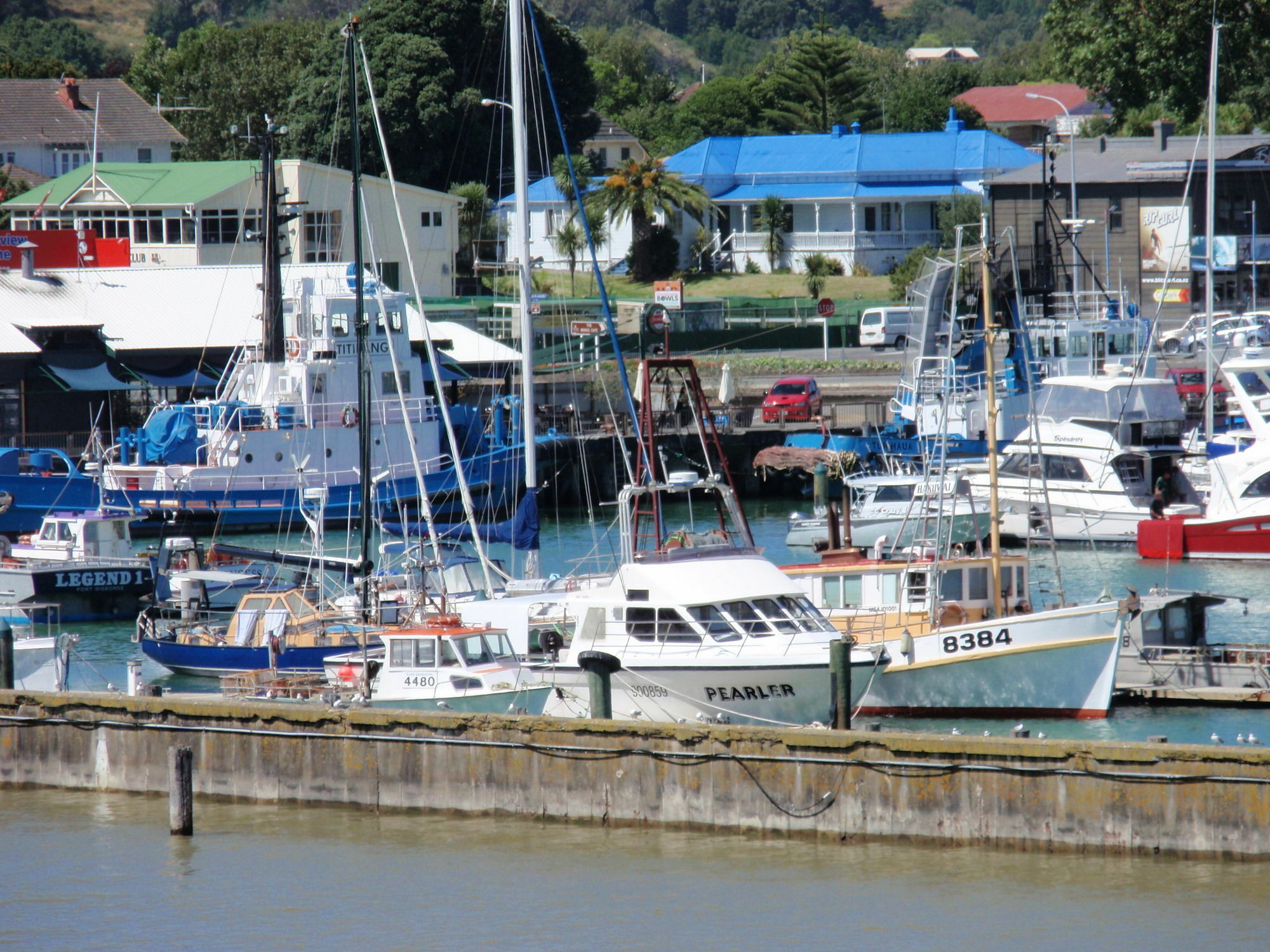 Marina View Apartments Gisborne Exteriér fotografie